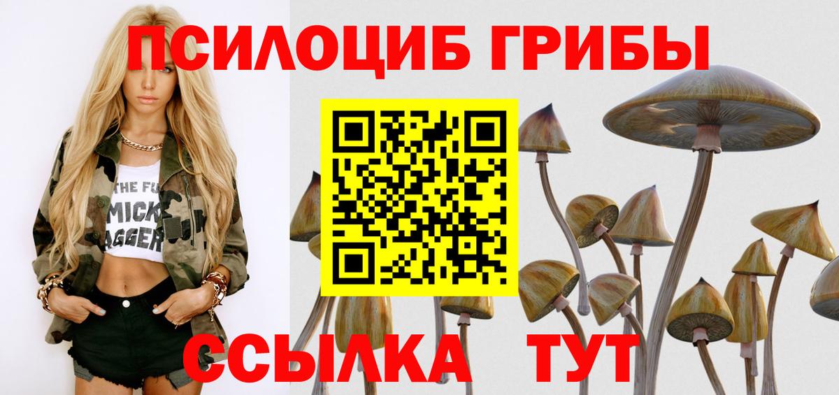 Галлюциногенные грибы Psilocybe  цена наркотик  Каменка  Вход с VPN  Псилоцибиновые грибы Cubensis 